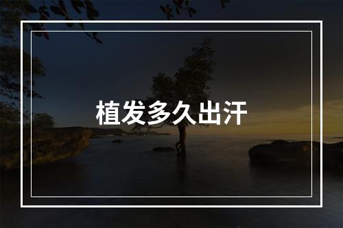 植发多久出汗