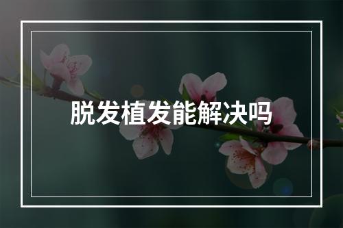 脱发植发能解决吗