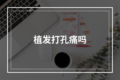 植发打孔痛吗