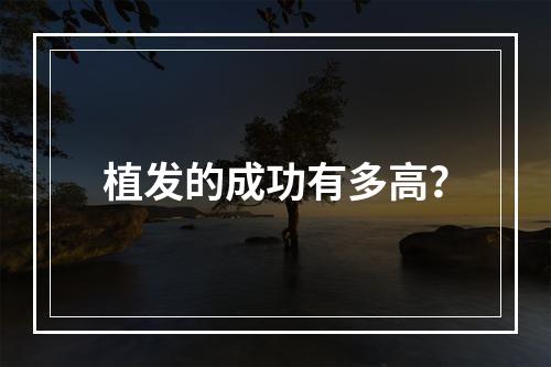 植发的成功有多高？