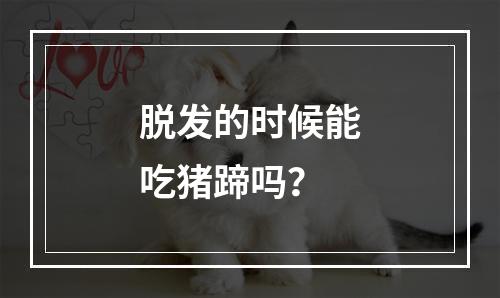 脱发的时候能吃猪蹄吗？