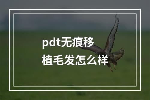 pdt无痕移植毛发怎么样