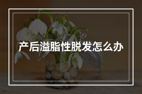 产后溢脂性脱发怎么办