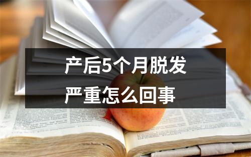 产后5个月脱发严重怎么回事