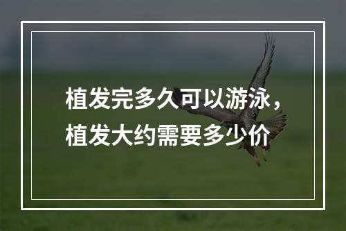 植发完多久可以游泳，植发大约需要多少价