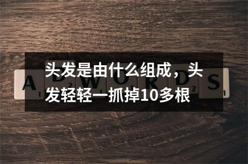 头发是由什么组成，头发轻轻一抓掉10多根