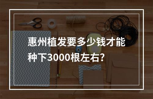 惠州植发要多少钱才能种下3000根左右？