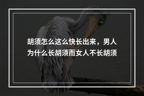 胡须怎么这么快长出来，男人为什么长胡须而女人不长胡须