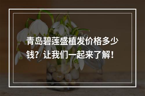 青岛碧莲盛植发价格多少钱？让我们一起来了解！