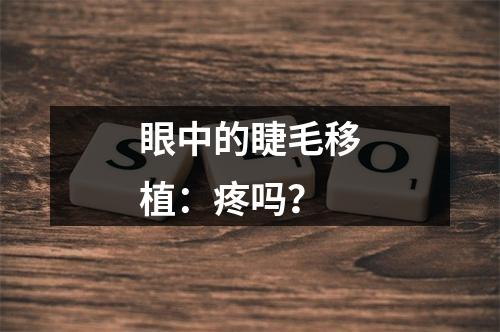 眼中的睫毛移植：疼吗？