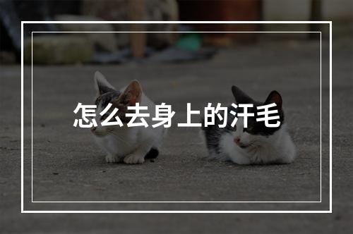 怎么去身上的汗毛