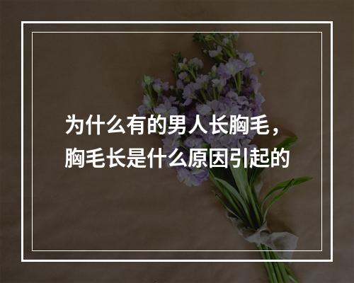 为什么有的男人长胸毛，胸毛长是什么原因引起的