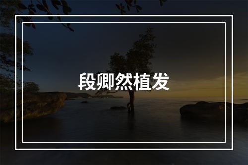 段卿然植发