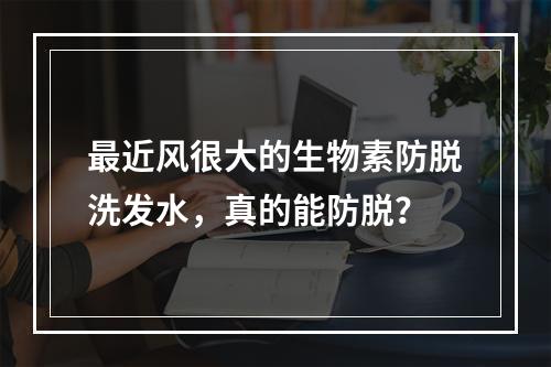 最近风很大的生物素防脱洗发水，真的能防脱？