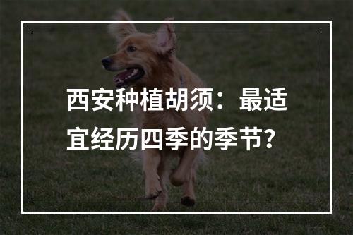 西安种植胡须：最适宜经历四季的季节？