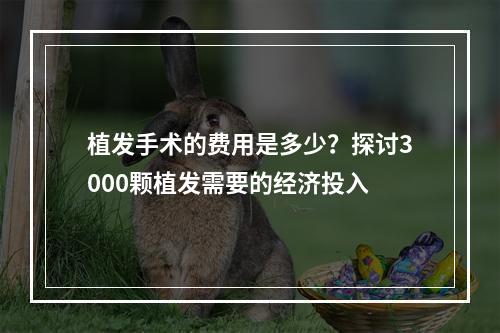 植发手术的费用是多少？探讨3000颗植发需要的经济投入