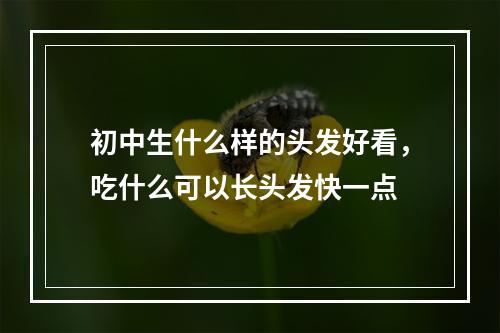 初中生什么样的头发好看，吃什么可以长头发快一点