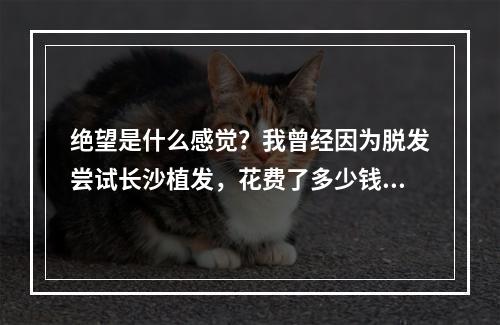 绝望是什么感觉？我曾经因为脱发尝试长沙植发，花费了多少钱才换回一份自信