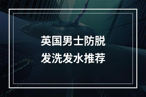 英国男士防脱发洗发水推荐