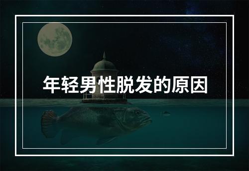 年轻男性脱发的原因