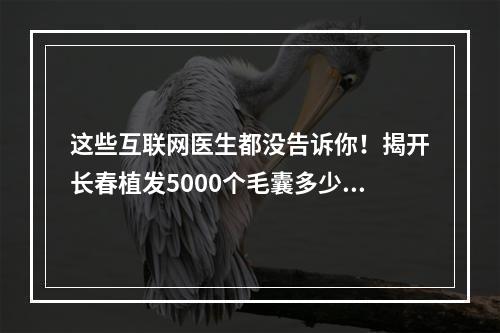 这些互联网医生都没告诉你！揭开长春植发5000个毛囊多少钱一个的真相！