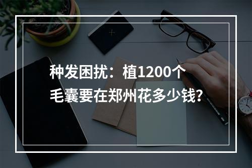 种发困扰：植1200个毛囊要在郑州花多少钱？