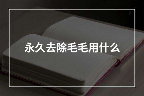 永久去除毛毛用什么