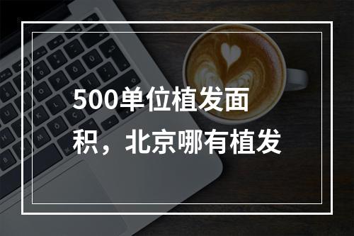 500单位植发面积，北京哪有植发