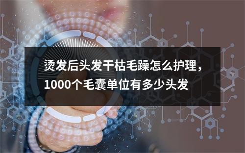 烫发后头发干枯毛躁怎么护理，1000个毛囊单位有多少头发