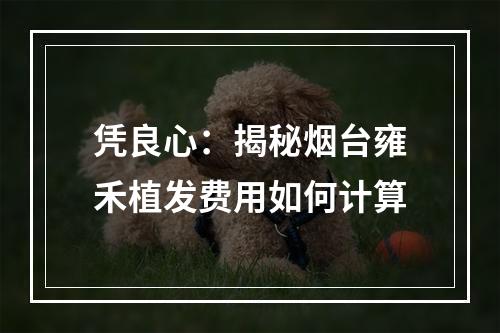 凭良心：揭秘烟台雍禾植发费用如何计算