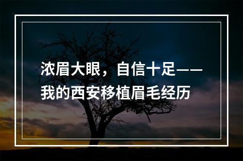 浓眉大眼，自信十足——我的西安移植眉毛经历