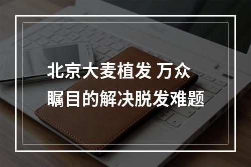 北京大麦植发 万众瞩目的解决脱发难题