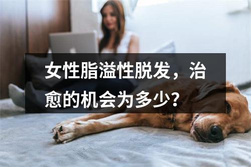 女性脂溢性脱发，治愈的机会为多少？