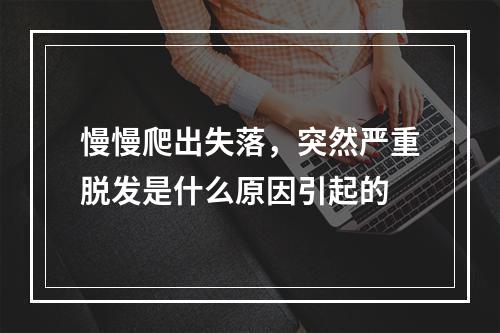 慢慢爬出失落，突然严重脱发是什么原因引起的