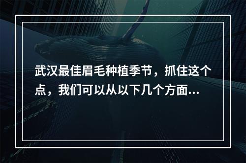 武汉最佳眉毛种植季节，抓住这个点，我们可以从以下几个方面来探讨。