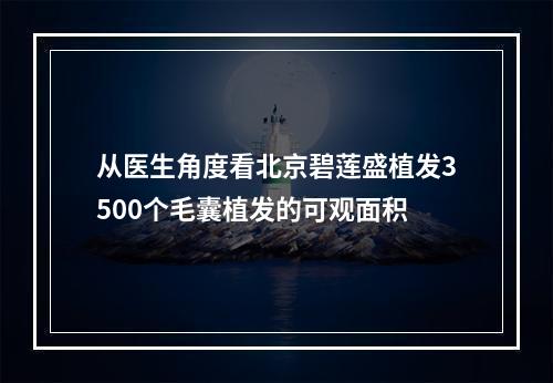 从医生角度看北京碧莲盛植发3500个毛囊植发的可观面积