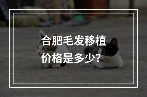 合肥毛发移植价格是多少？