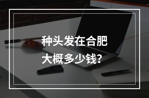 种头发在合肥大概多少钱？