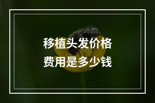 移植头发价格费用是多少钱