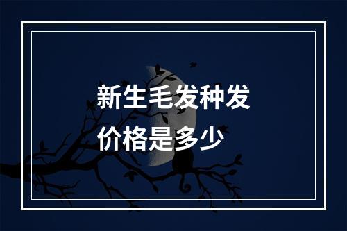 新生毛发种发价格是多少