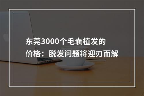 东莞3000个毛囊植发的价格：脱发问题将迎刃而解