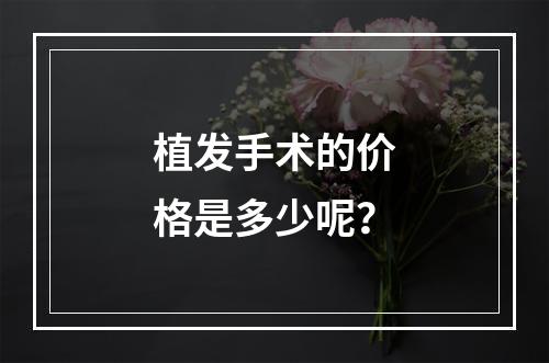 植发手术的价格是多少呢？