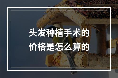 头发种植手术的价格是怎么算的