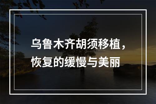 乌鲁木齐胡须移植，恢复的缓慢与美丽