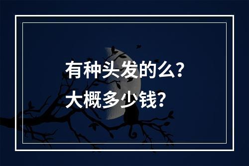 有种头发的么？大概多少钱？