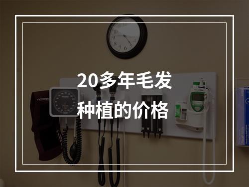 20多年毛发种植的价格