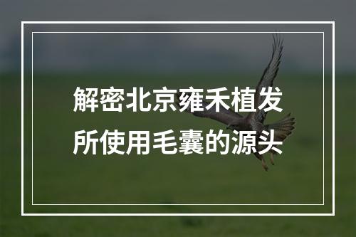 解密北京雍禾植发所使用毛囊的源头