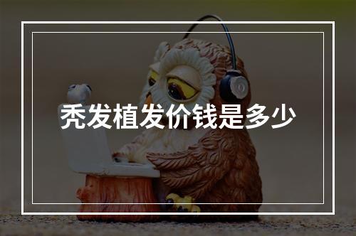 秃发植发价钱是多少