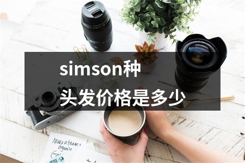 simson种头发价格是多少