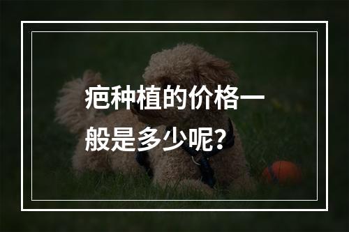 疤种植的价格一般是多少呢？